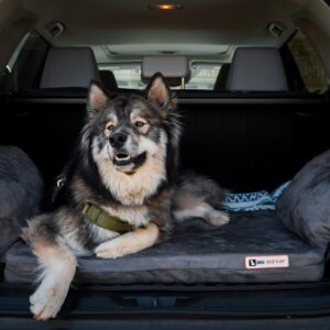 Easy Rider SUV Dog Bed