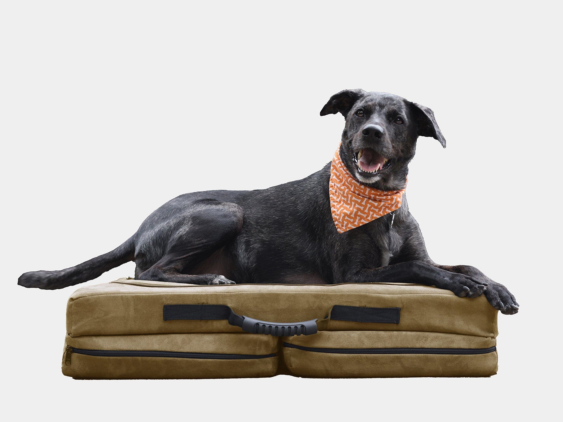 Fold-N-Go Travel Dog Bed - Image 6