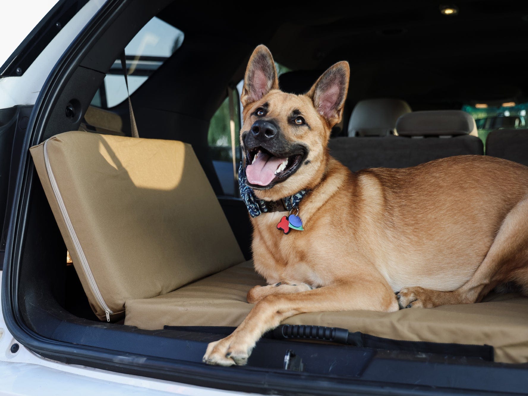 Fold-N-Go Travel Dog Bed - Image 4